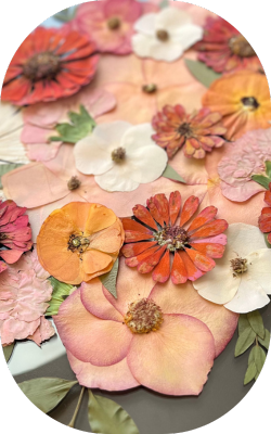 A close-up of pressed flowers in shades of orange, red, and pink, including petals, blooms, and leaves, arranged artistically on a flat surface with a soft, rounded border.