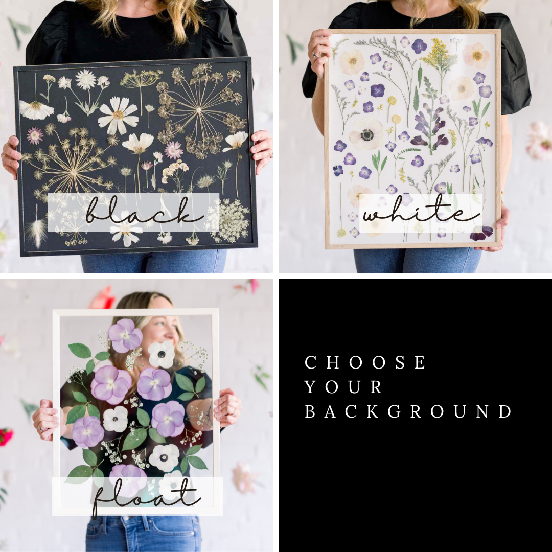 A collage of three framed pressed flower artworks displayed with different background options: black, white, and float. The first artwork features a dark background with various flowers, the second has a light background with soft pastel flowers, and the third showcases flowers floating against a transparent background. The text 'Choose your background' is displayed in white on a black background beneath the images.