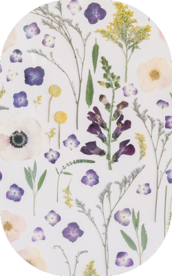 A delicate arrangement of pressed flowers and leaves in soft purples, yellows, and greens, scattered on a white background with an oval frame. The flowers include anemones, violets, and yellow button blooms.