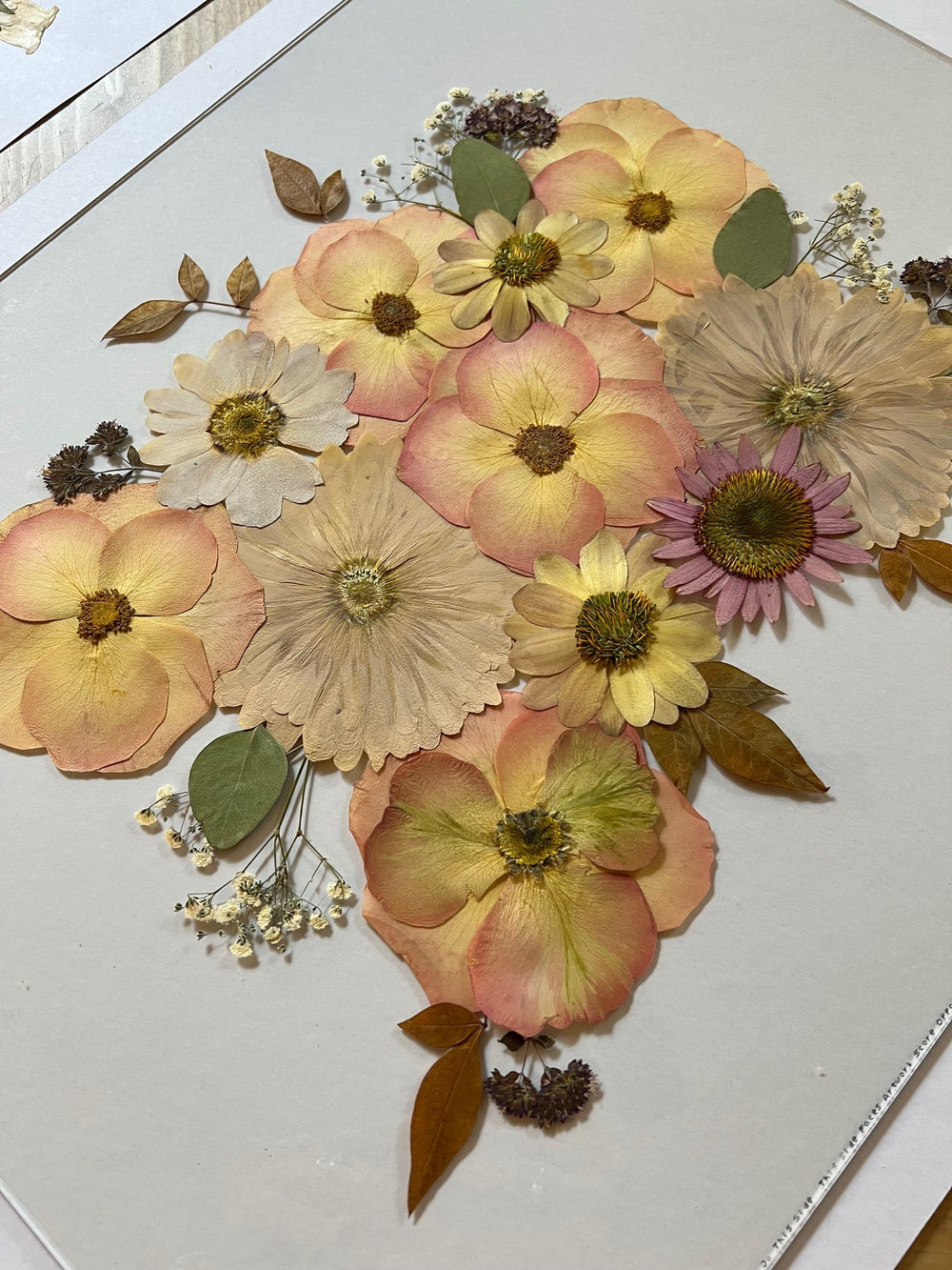 A close-up of a beautifully arranged pressed flower composition featuring soft peach, yellow, and pink flowers, along with green leaves and delicate sprigs of baby's breath. The flowers include sunflowers, daisies, and other florals, all carefully placed on a light background.