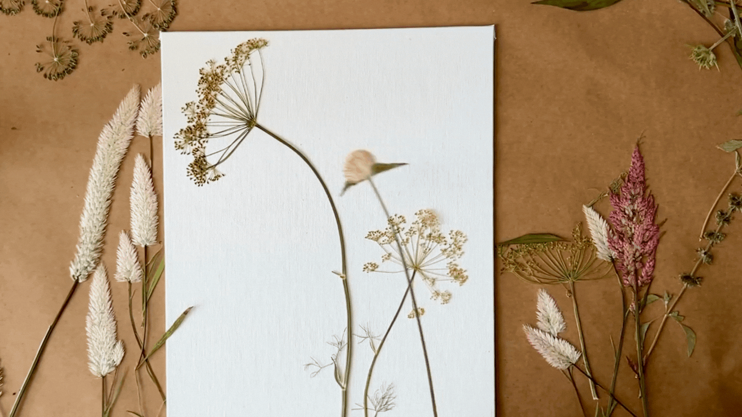 A soft, natural composition featuring pressed grasses and delicate flowers arranged around a white canvas, with intricate botanical details displayed on a brown textured background.